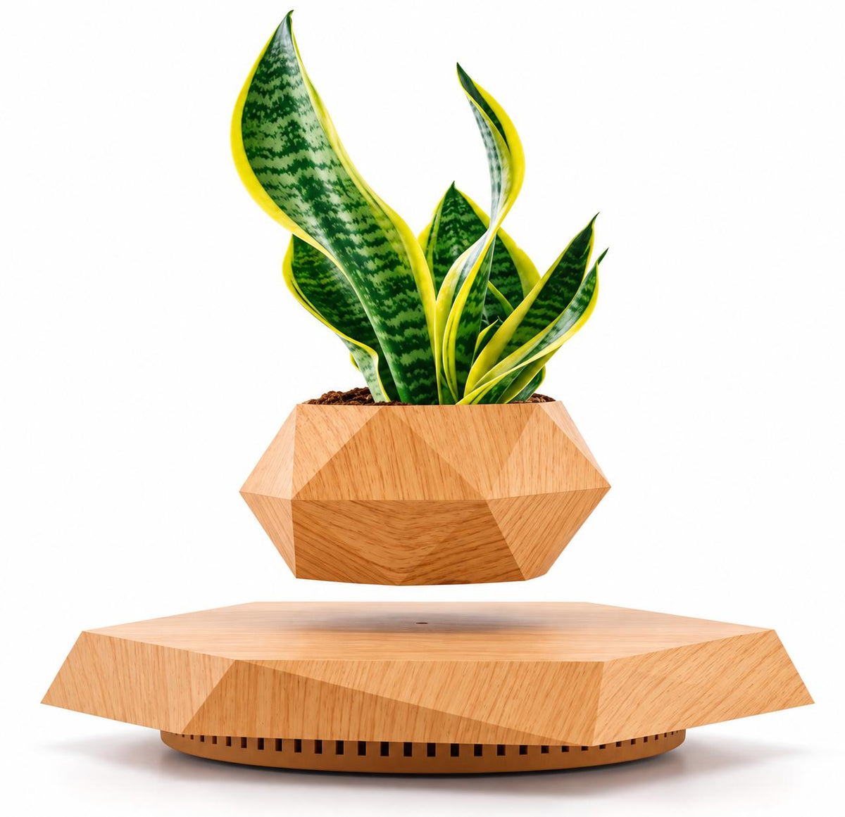 Magnetic levitation flower pot make a difference in your environment