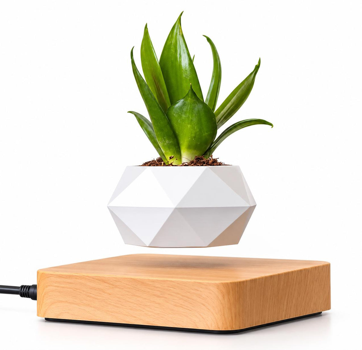 Magnetic levitation flower pot make a difference in your environment