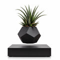 Magnetic levitation flower pot make a difference in your environment