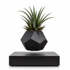 Magnetic levitation flower pot make a difference in your environment
