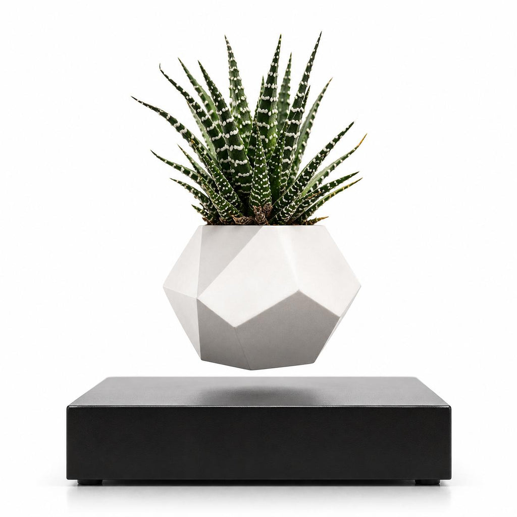 Magnetic levitation flower pot make a difference in your environment