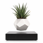 Magnetic levitation flower pot make a difference in your environment