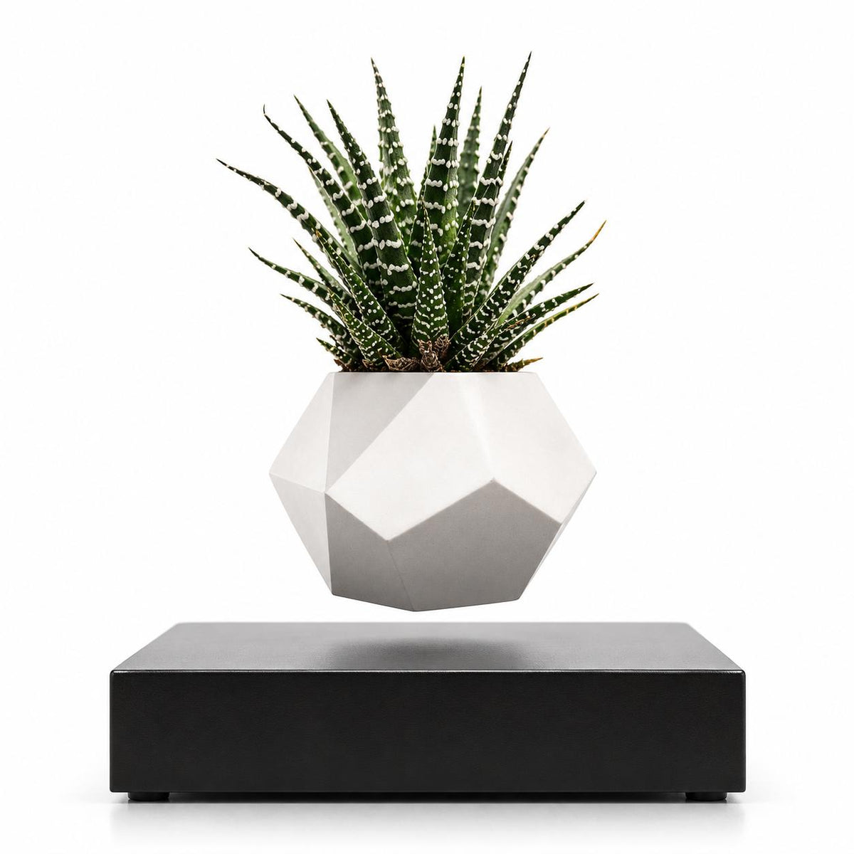 Magnetic levitation flower pot make a difference in your environment