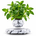 Magnetic levitation flower pot make a difference in your environment
