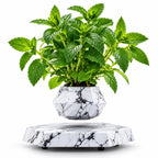 Magnetic levitation flower pot make a difference in your environment