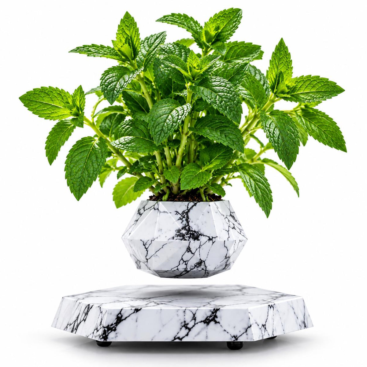 Magnetic levitation flower pot make a difference in your environment