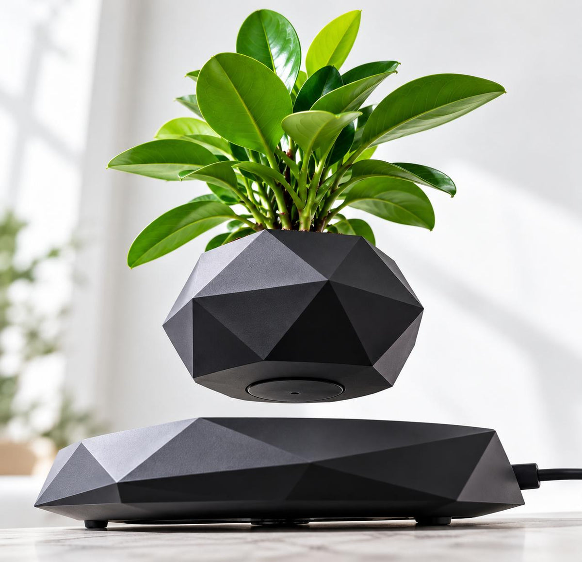 Magnetic levitation flower pot make a difference in your environment