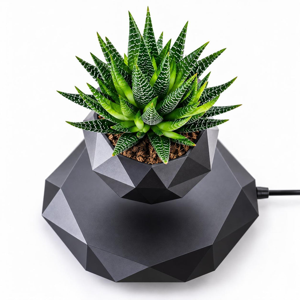 Magnetic levitation flower pot make a difference in your environment