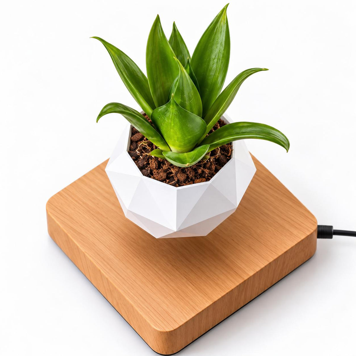 Magnetic levitation flower pot make a difference in your environment