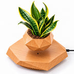 Magnetic levitation flower pot make a difference in your environment