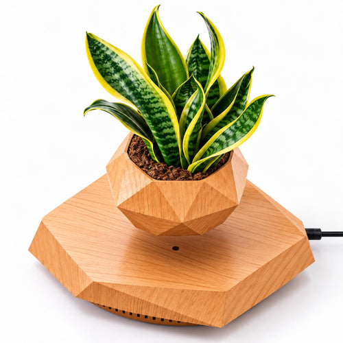 Magnetic levitation flower pot make a difference in your environment