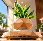 Magnetic levitation flower pot make a difference in your environment