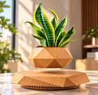 Magnetic levitation flower pot make a difference in your environment