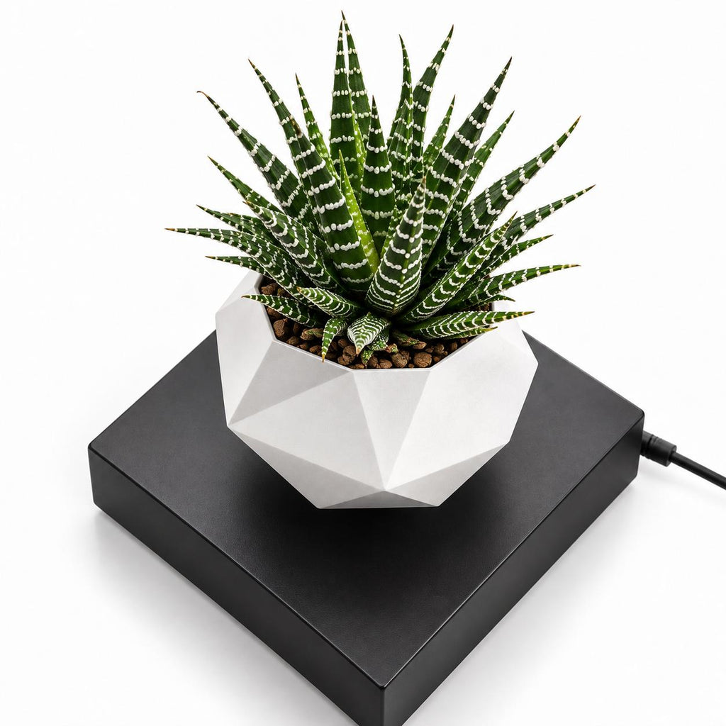Magnetic levitation flower pot make a difference in your environment