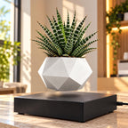 Magnetic levitation flower pot make a difference in your environment