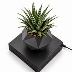 Magnetic levitation flower pot make a difference in your environment