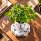 Magnetic levitation flower pot make a difference in your environment